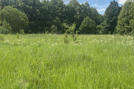 11сот Ферзиково